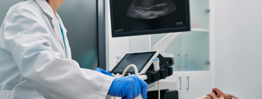 diagnostic ultrasound